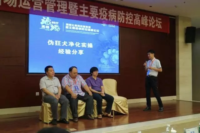 008偽狂犬凈化經驗分享.jpg 008偽狂犬凈化經驗分享.jpg