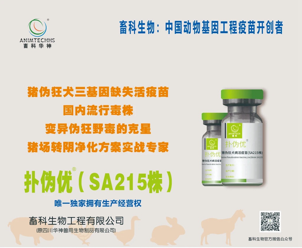 news05.jpg news05.jpg