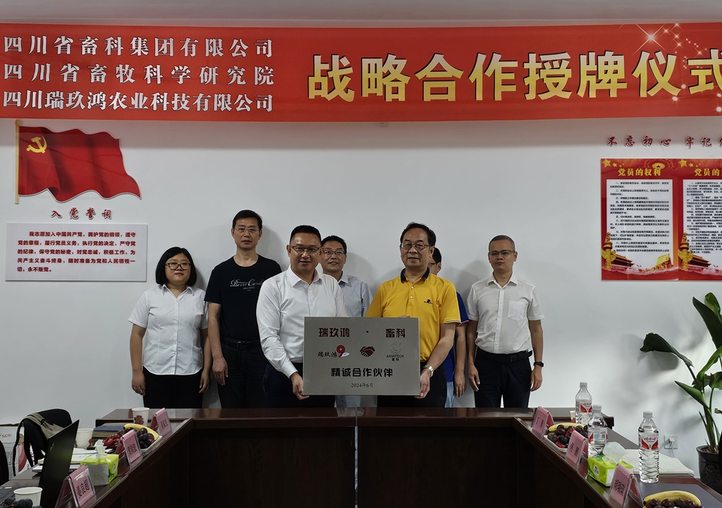 news004.jpg news004.jpg